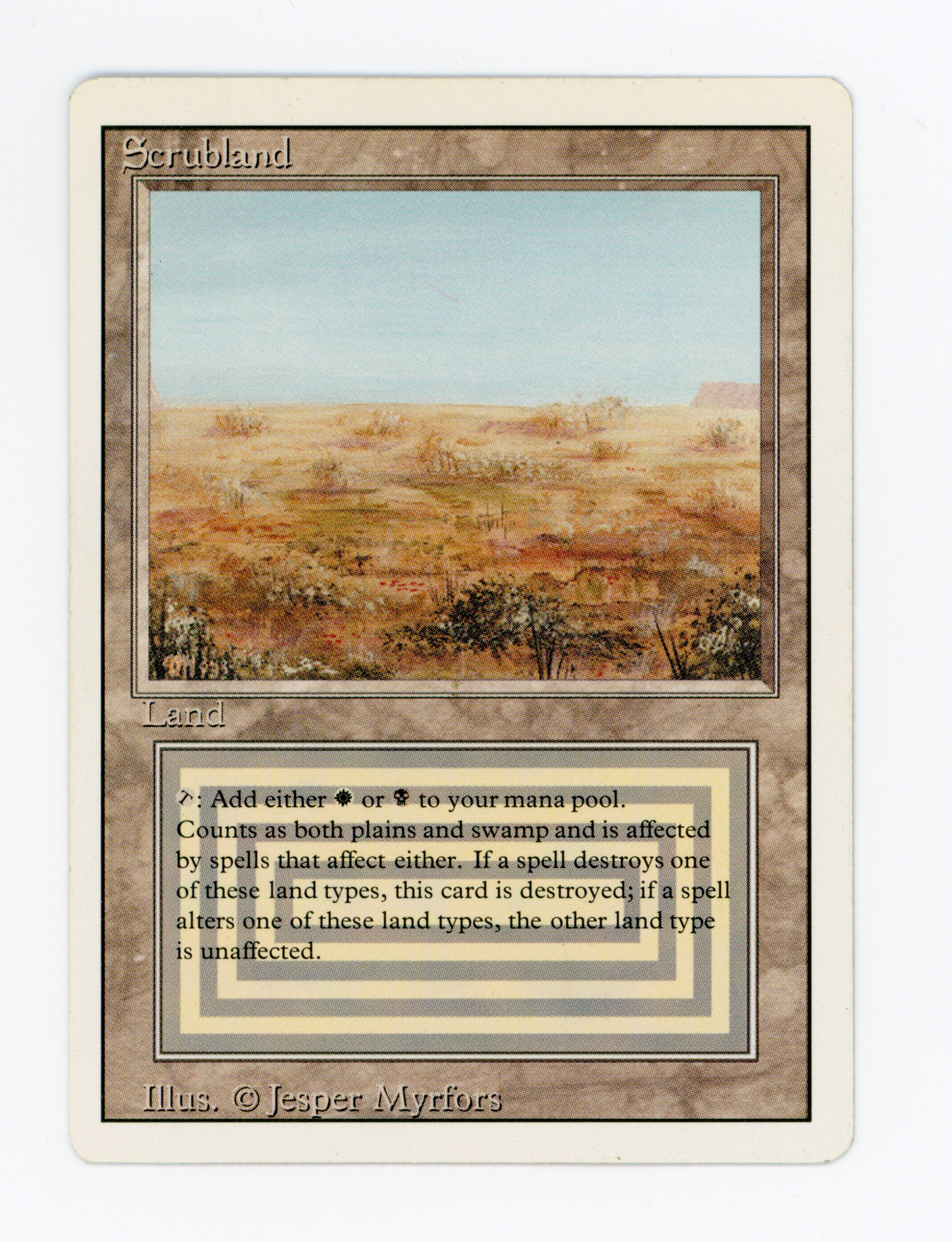 New Arrivals — Magic: The Gathering